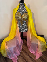 Load image into Gallery viewer, OOPS ”Happy Go Lucky" 3.5 yard 6mm Silk Bellydance Veil